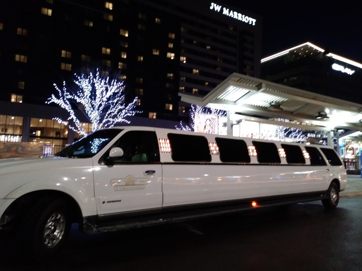 Christmas & Holiday Lights Tour Davis Transportation